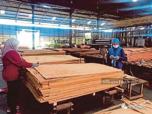 馬來西亞木制品出口迎來爆發(fā)期 預(yù)計2025年達287億人民幣，產(chǎn)業(yè)升級與全球需求雙輪驅(qū)動