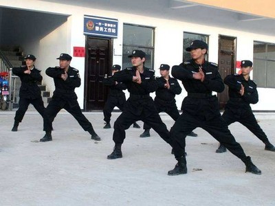 保安服務(wù)許可證設(shè)立審批及北京保安公司出售全指南